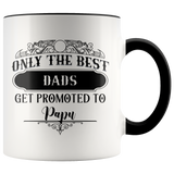Only The Best Dads Get Promoted To Papu Accent Mug